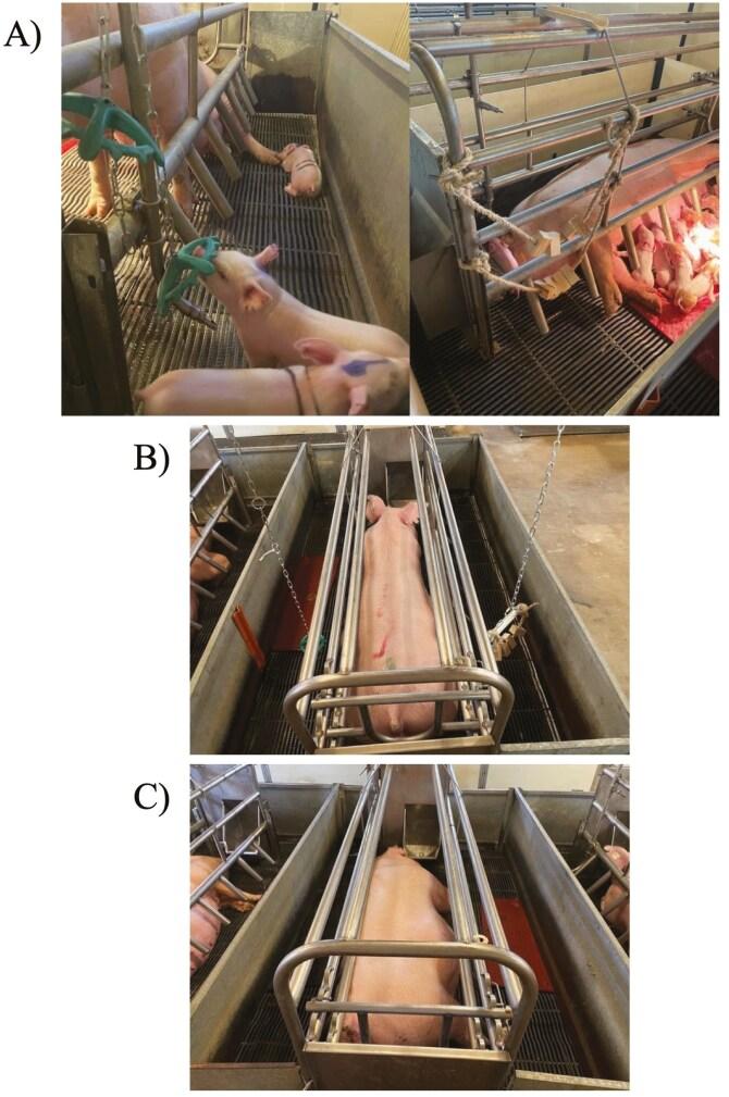 https://cdn.ncbi.nlm.nih.gov/pmc/blobs/092b/12272055/016f4fd61635/skaf196_fig1.jpg