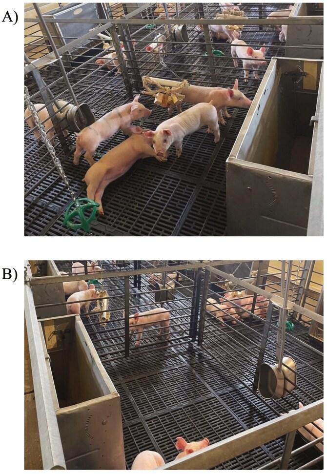 https://cdn.ncbi.nlm.nih.gov/pmc/blobs/092b/12272055/e9fc7d8878ef/skaf196_fig3.jpg