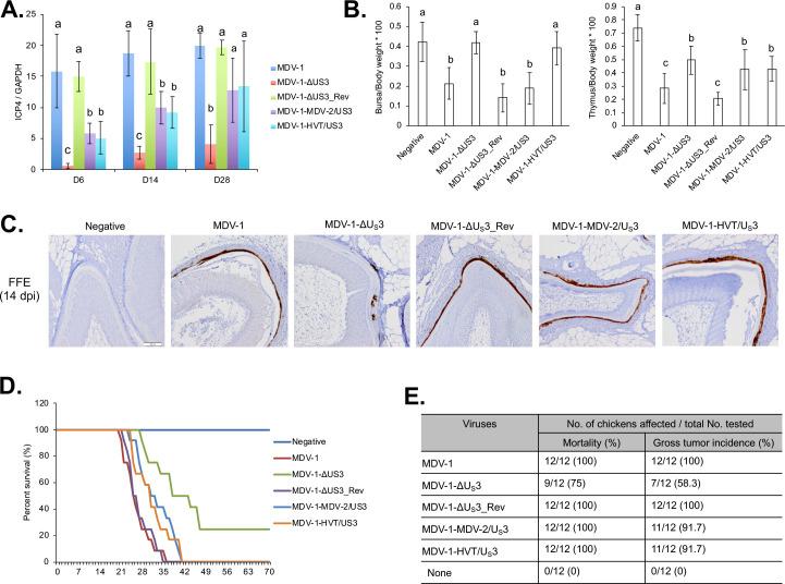 https://cdn.ncbi.nlm.nih.gov/pmc/blobs/092c/7920345/953a57b138d8/ppat.1009307.g002.jpg