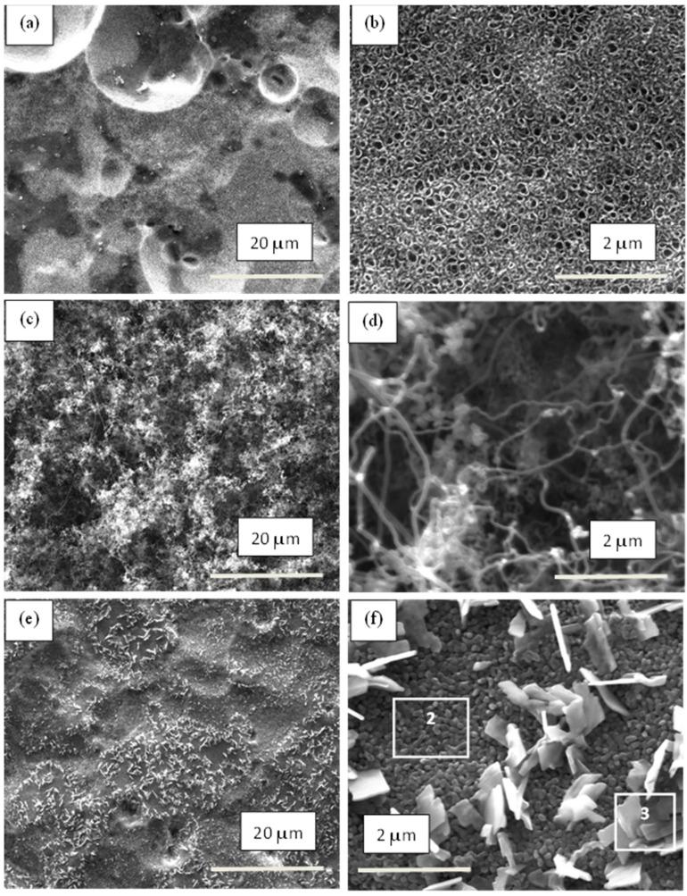 https://cdn.ncbi.nlm.nih.gov/pmc/blobs/092f/10972199/470af476d350/materials-17-01290-g005.jpg