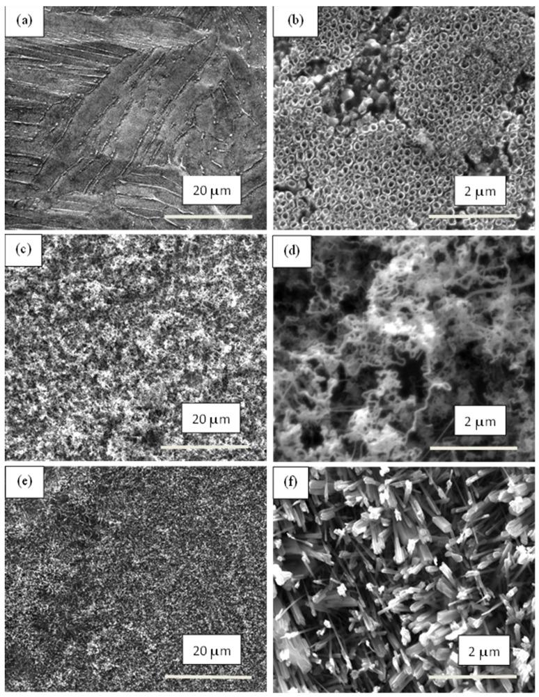 https://cdn.ncbi.nlm.nih.gov/pmc/blobs/092f/10972199/4910f8bc47c5/materials-17-01290-g006.jpg