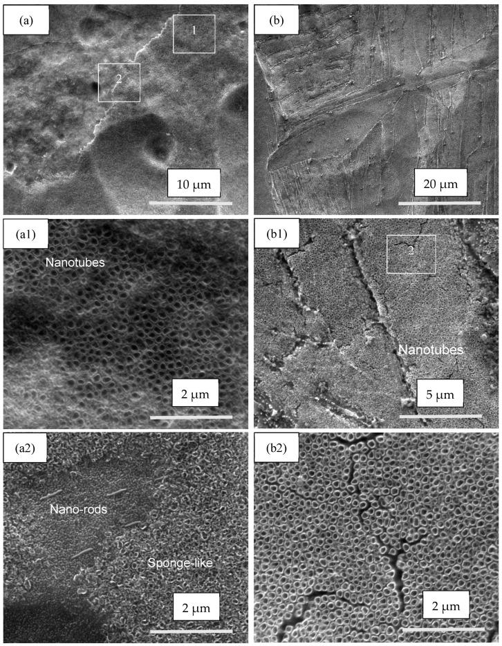 https://cdn.ncbi.nlm.nih.gov/pmc/blobs/092f/10972199/a9236f7d6425/materials-17-01290-g004.jpg