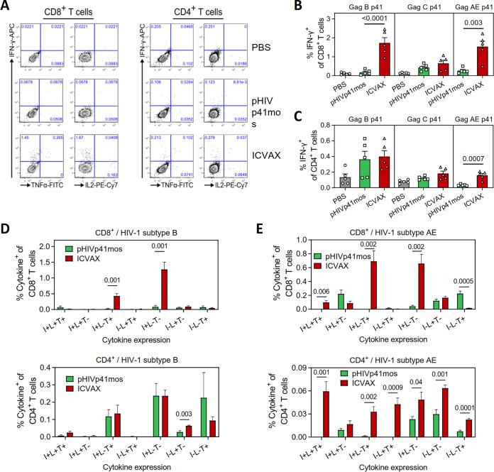 https://cdn.ncbi.nlm.nih.gov/pmc/blobs/0930/9006887/0293a178b15e/jvi.02161-21-f006.jpg