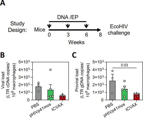 https://cdn.ncbi.nlm.nih.gov/pmc/blobs/0930/9006887/5217d1fc93f0/jvi.02161-21-f007.jpg