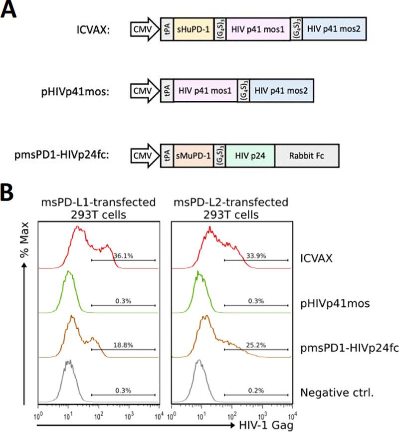 https://cdn.ncbi.nlm.nih.gov/pmc/blobs/0930/9006887/b416d7723a7f/jvi.02161-21-f003.jpg