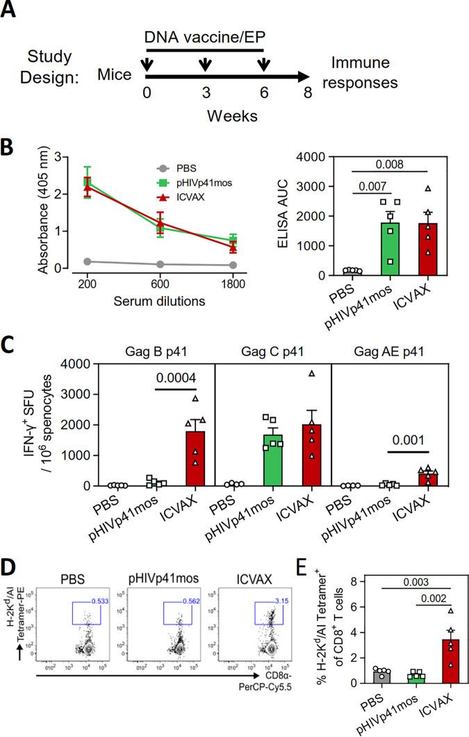 https://cdn.ncbi.nlm.nih.gov/pmc/blobs/0930/9006887/f7ce349dc87e/jvi.02161-21-f004.jpg