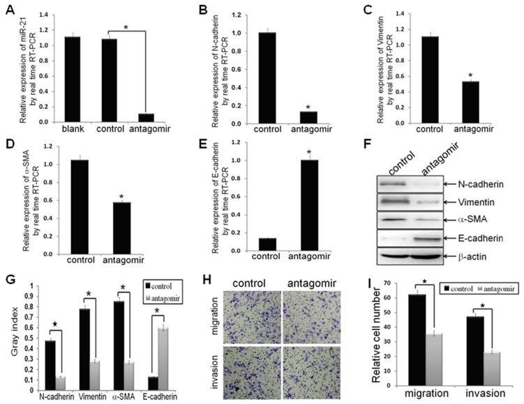 https://cdn.ncbi.nlm.nih.gov/pmc/blobs/0931/3382593/5ce6d7ad14c1/pone.0039520.g001.jpg