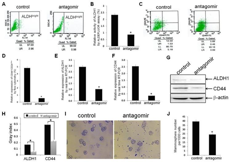 https://cdn.ncbi.nlm.nih.gov/pmc/blobs/0931/3382593/f17d5b7353e7/pone.0039520.g002.jpg