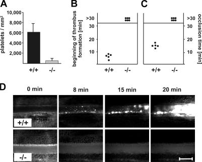 https://cdn.ncbi.nlm.nih.gov/pmc/blobs/0932/2150972/fb86f8f43909/jem2043113f04.jpg