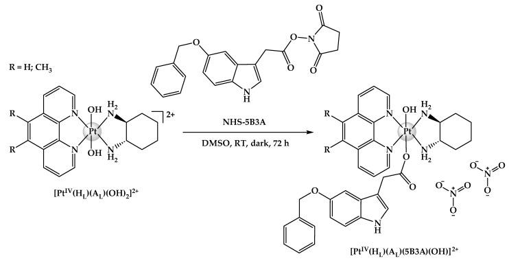 https://cdn.ncbi.nlm.nih.gov/pmc/blobs/0933/10888562/eb2c6e8518e1/ijms-25-02181-g005.jpg