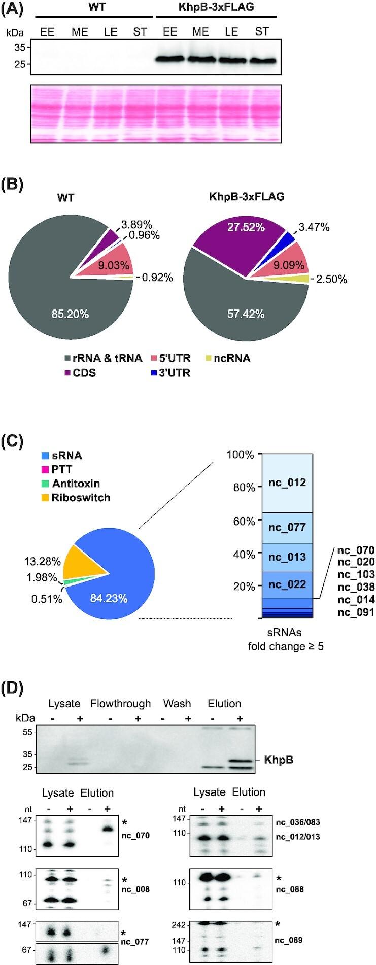 https://cdn.ncbi.nlm.nih.gov/pmc/blobs/0936/10117727/7216a54e7d3e/uqab004fig5.jpg
