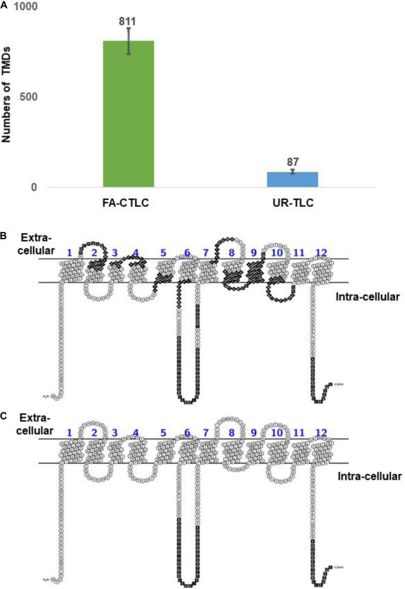 https://cdn.ncbi.nlm.nih.gov/pmc/blobs/0936/7775423/967e76dc0b39/fpls-11-595726-g004.jpg