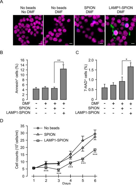 https://cdn.ncbi.nlm.nih.gov/pmc/blobs/0938/4004315/300f257b7160/nn-2013-06302j_0007.jpg