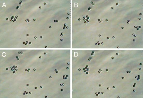 https://cdn.ncbi.nlm.nih.gov/pmc/blobs/0938/4004315/73d1f87554f4/nn-2013-06302j_0002.jpg