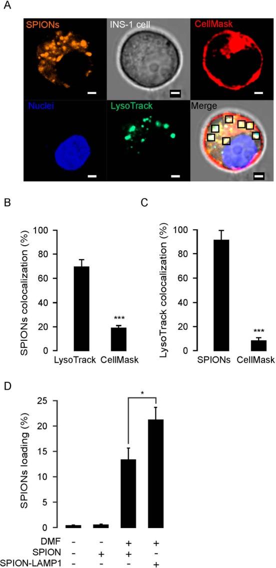https://cdn.ncbi.nlm.nih.gov/pmc/blobs/0938/4004315/d0e7c975b723/nn-2013-06302j_0003.jpg