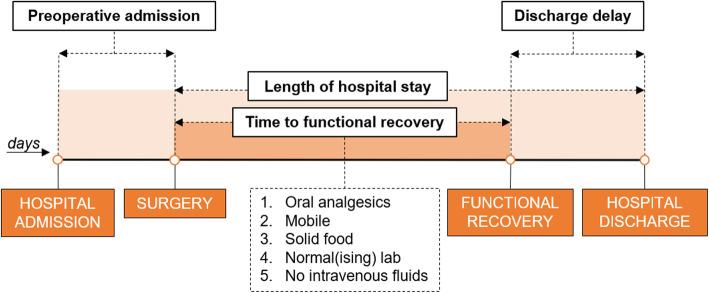 https://cdn.ncbi.nlm.nih.gov/pmc/blobs/093f/8908665/d8956c12e05e/13063_2022_6112_Fig2_HTML.jpg