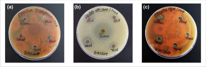https://cdn.ncbi.nlm.nih.gov/pmc/blobs/0942/10169122/0964eba7e5f3/12668_2023_1116_Fig2_HTML.jpg