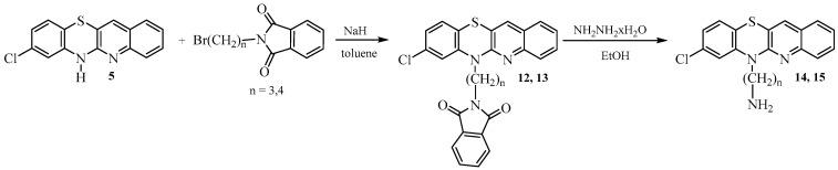 https://cdn.ncbi.nlm.nih.gov/pmc/blobs/0944/11050599/10bfd1f65668/ijms-25-04148-sch004.jpg