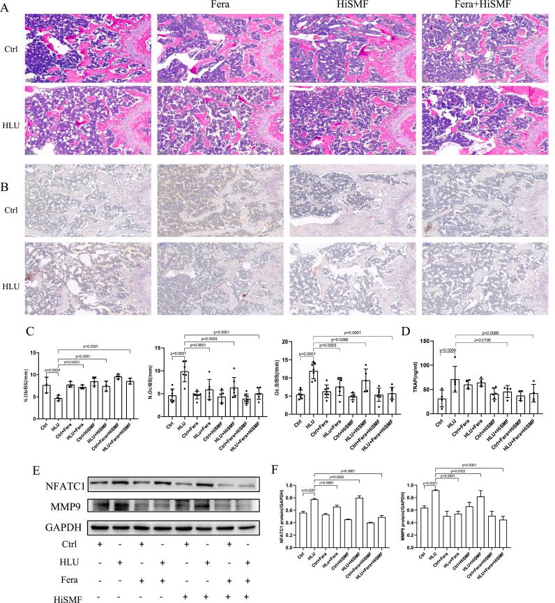 https://cdn.ncbi.nlm.nih.gov/pmc/blobs/0945/9646753/14375e66fb10/gr3.jpg