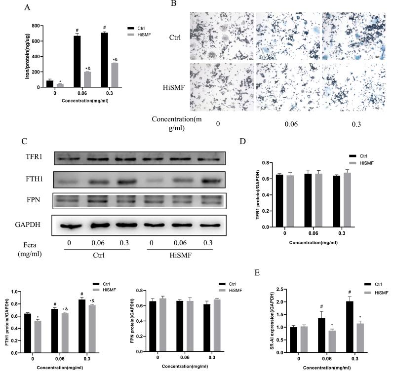 https://cdn.ncbi.nlm.nih.gov/pmc/blobs/0945/9646753/1d42e24a0b09/gr6.jpg