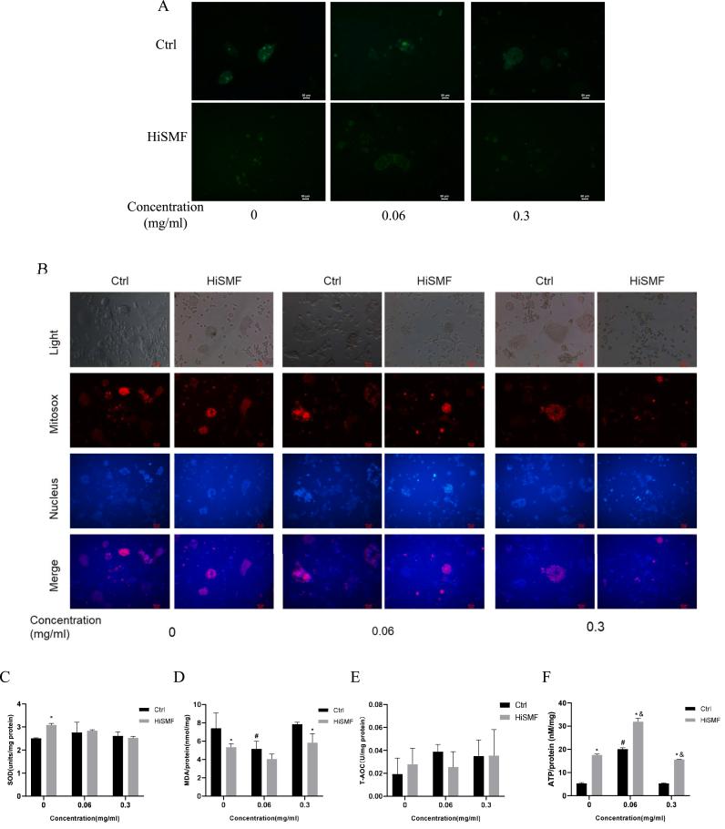 https://cdn.ncbi.nlm.nih.gov/pmc/blobs/0945/9646753/245954b60fa7/gr7.jpg