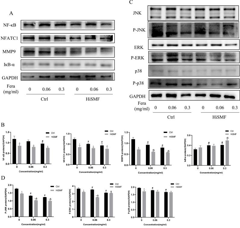 https://cdn.ncbi.nlm.nih.gov/pmc/blobs/0945/9646753/6ffd581cb138/gr8.jpg