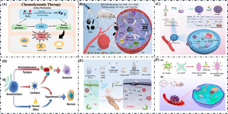 https://cdn.ncbi.nlm.nih.gov/pmc/blobs/0948/11844087/0acb7c6b0756/12951_2025_3185_Fig8_HTML.jpg