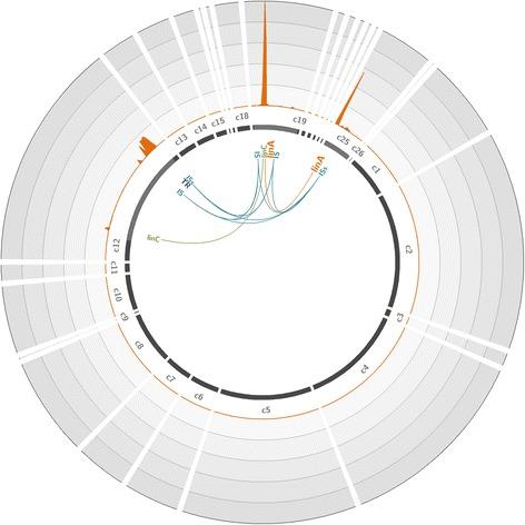 https://cdn.ncbi.nlm.nih.gov/pmc/blobs/0948/5351058/1240c831c1b9/40168_2017_251_Fig3_HTML.jpg