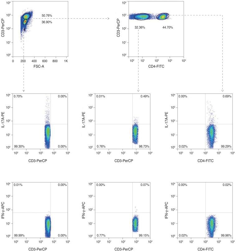 https://cdn.ncbi.nlm.nih.gov/pmc/blobs/094a/4038731/3a043cd22a8f/kjo-28-246-g002.jpg
