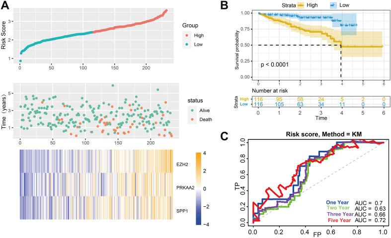 https://cdn.ncbi.nlm.nih.gov/pmc/blobs/094a/8652186/b7b7be8e1d66/10.1177_15330338211041425-fig4.jpg