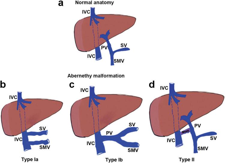 https://cdn.ncbi.nlm.nih.gov/pmc/blobs/094b/9319661/7bea8c2d32ad/j_biol-2022-0086-fig001.jpg