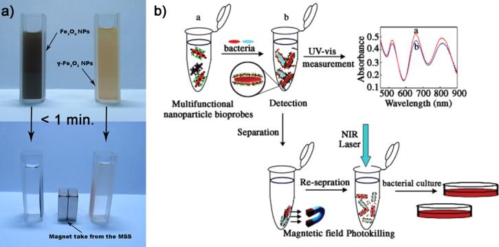 https://cdn.ncbi.nlm.nih.gov/pmc/blobs/0952/5036481/40a0cf07810c/TSTA1166125625.jpg