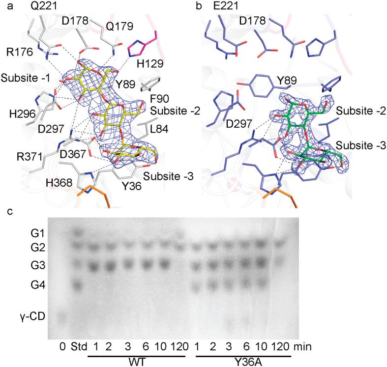 https://cdn.ncbi.nlm.nih.gov/pmc/blobs/0952/5355875/a2d3c6ea94c2/srep44067-f3.jpg