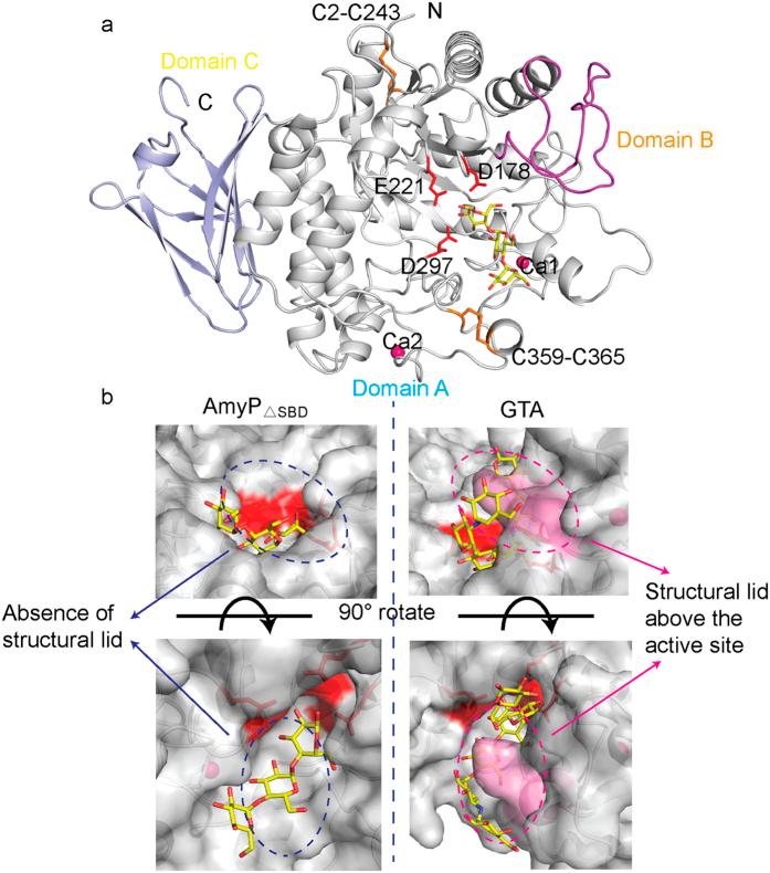 https://cdn.ncbi.nlm.nih.gov/pmc/blobs/0952/5355875/d77b6f48ec09/srep44067-f1.jpg