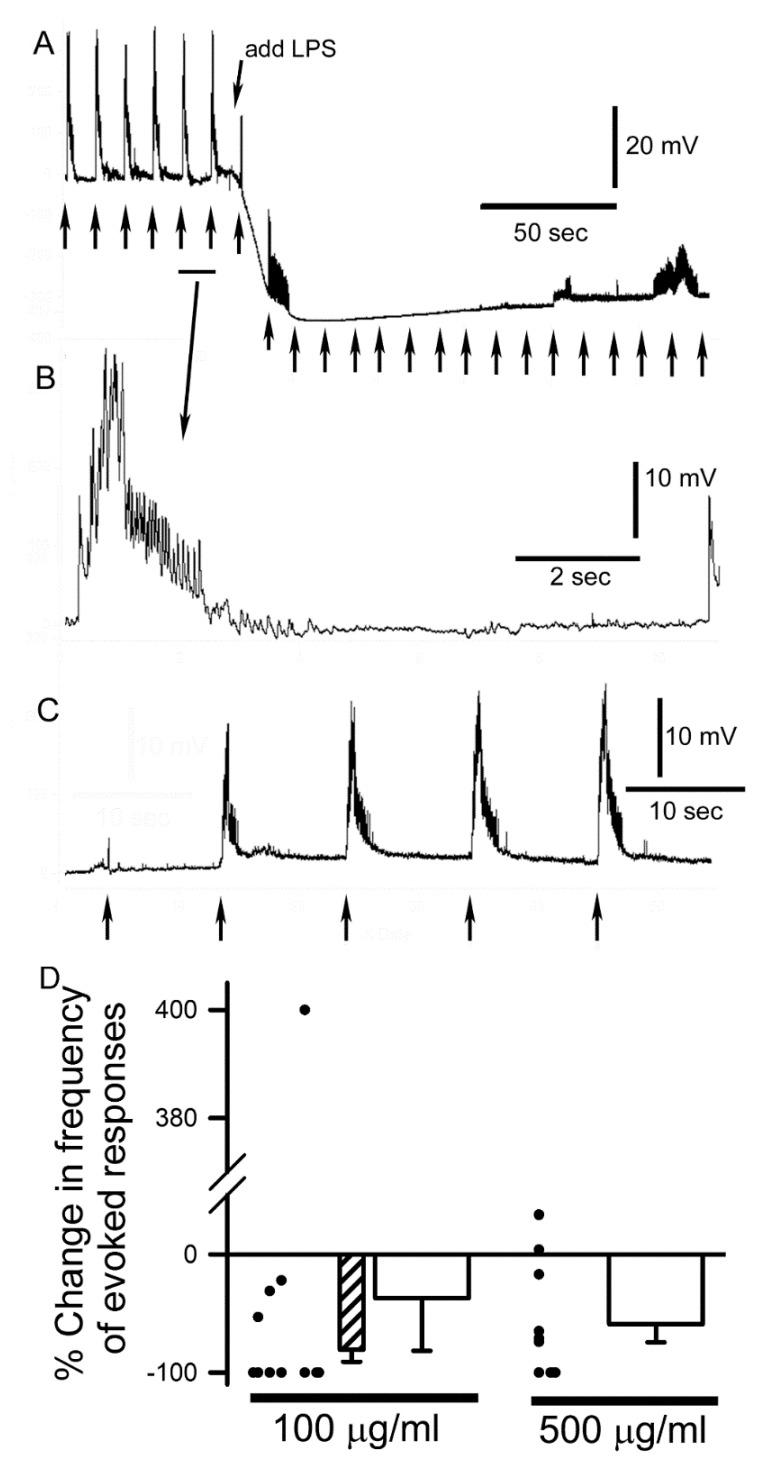 https://cdn.ncbi.nlm.nih.gov/pmc/blobs/0953/6523965/1d1ce7f3d936/insects-10-00115-g004.jpg
