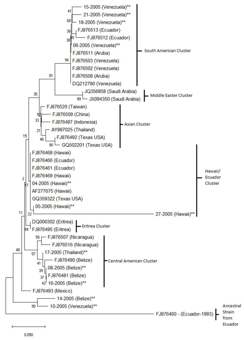 https://cdn.ncbi.nlm.nih.gov/pmc/blobs/0953/7551232/3c1b8f75fb79/viruses-12-01030-g006.jpg