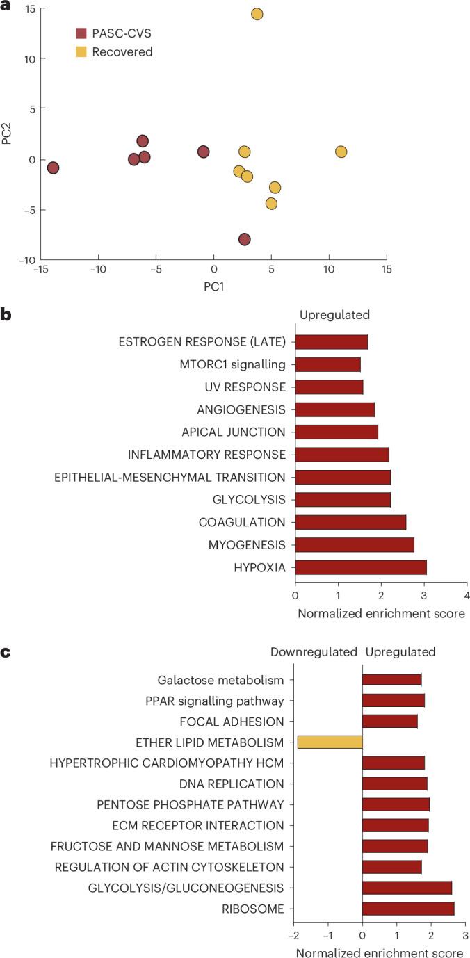 https://cdn.ncbi.nlm.nih.gov/pmc/blobs/0956/11602718/3c1dc4dc82a1/41564_2024_1838_Fig5_HTML.jpg