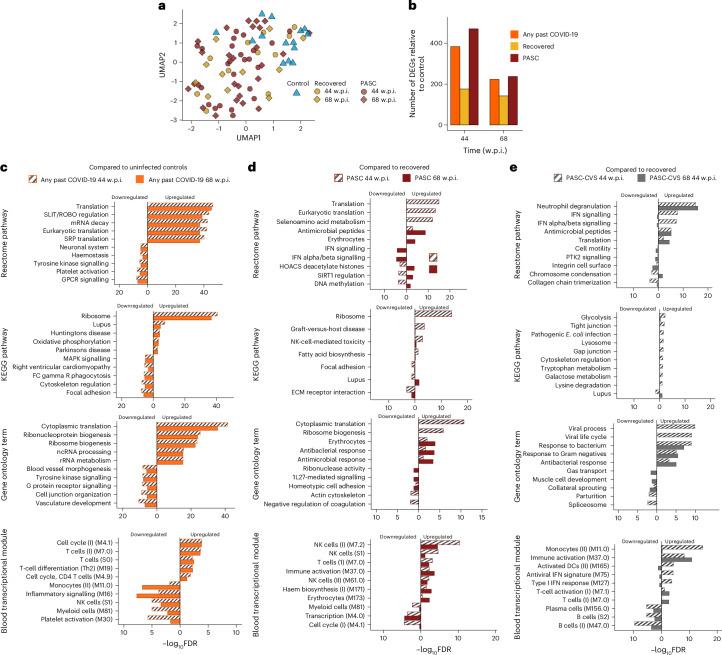https://cdn.ncbi.nlm.nih.gov/pmc/blobs/0956/11602718/6d65830c2c07/41564_2024_1838_Fig1_HTML.jpg