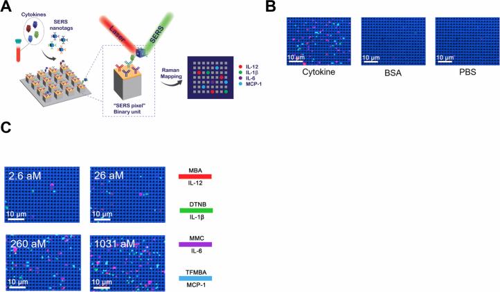 https://cdn.ncbi.nlm.nih.gov/pmc/blobs/0956/11602718/df3c71768ee2/41564_2024_1838_Fig8_ESM.jpg