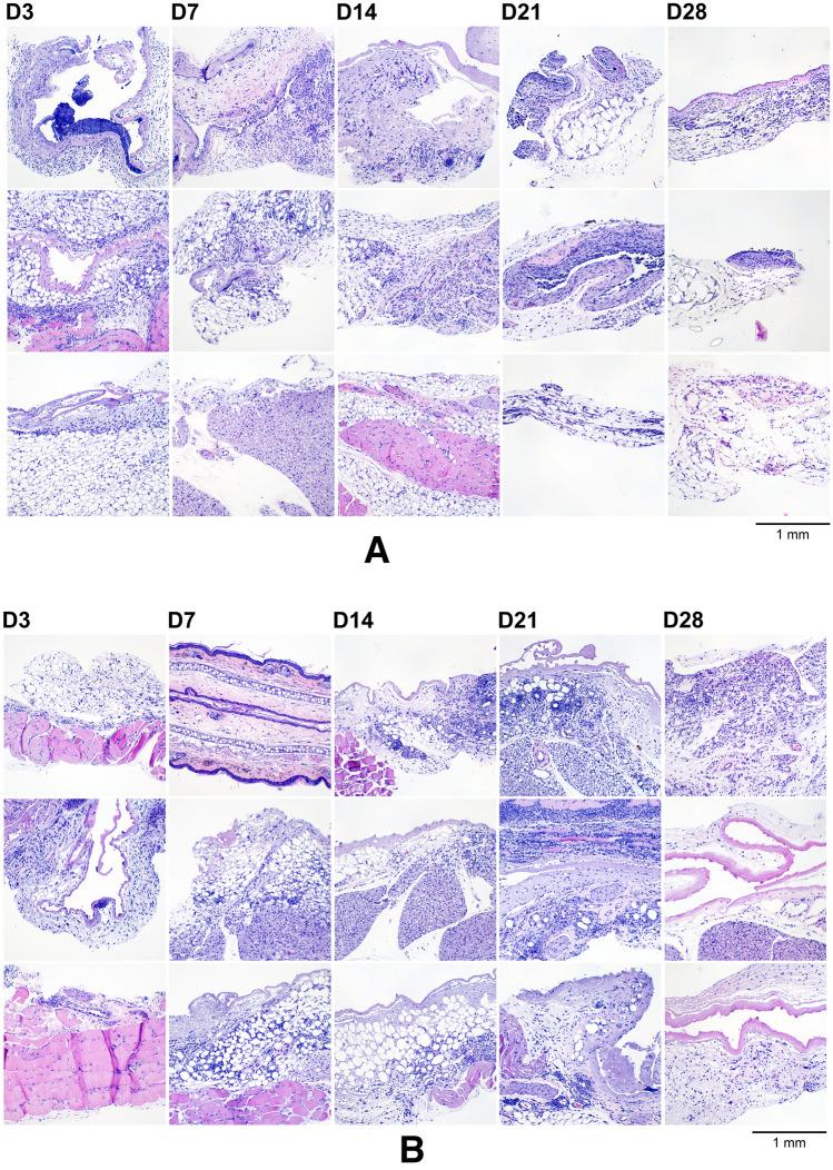 https://cdn.ncbi.nlm.nih.gov/pmc/blobs/0958/9114338/03b87039fd08/41598_2022_11020_Fig12_HTML.jpg