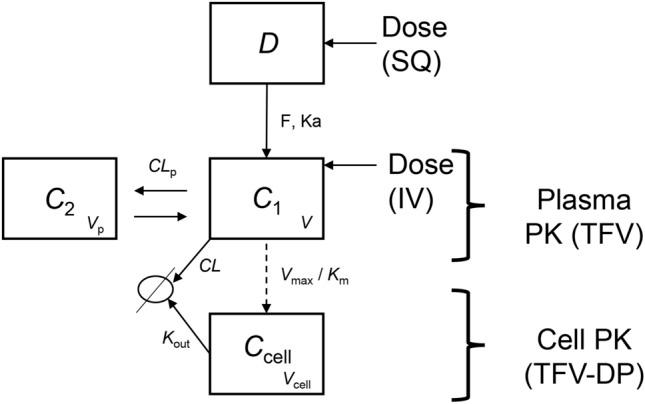 https://cdn.ncbi.nlm.nih.gov/pmc/blobs/0958/9114338/1baf81a0c380/41598_2022_11020_Fig7_HTML.jpg