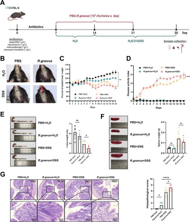 https://cdn.ncbi.nlm.nih.gov/pmc/blobs/0959/12211897/0b61ff1e4a1d/12876_2025_4061_Fig5_HTML.jpg