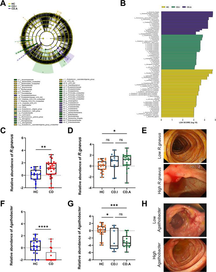https://cdn.ncbi.nlm.nih.gov/pmc/blobs/0959/12211897/f06abab97c53/12876_2025_4061_Fig2_HTML.jpg