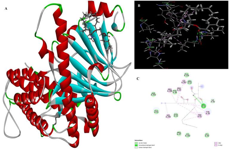 https://cdn.ncbi.nlm.nih.gov/pmc/blobs/095c/11528469/36f58de84148/fnut-11-1453819-g006.jpg