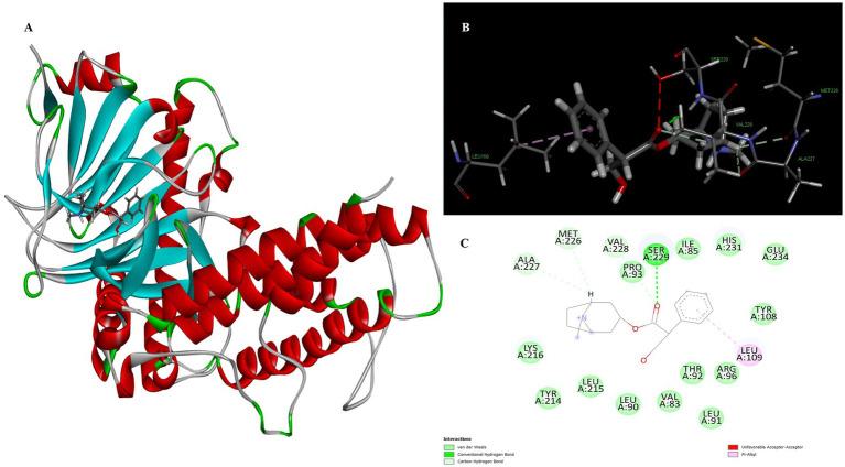 https://cdn.ncbi.nlm.nih.gov/pmc/blobs/095c/11528469/3e383ebb6107/fnut-11-1453819-g005.jpg