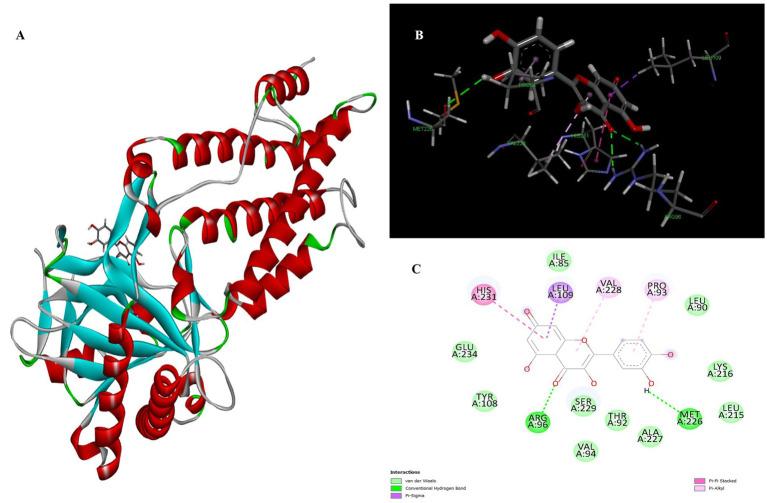 https://cdn.ncbi.nlm.nih.gov/pmc/blobs/095c/11528469/e7c70359594f/fnut-11-1453819-g004.jpg