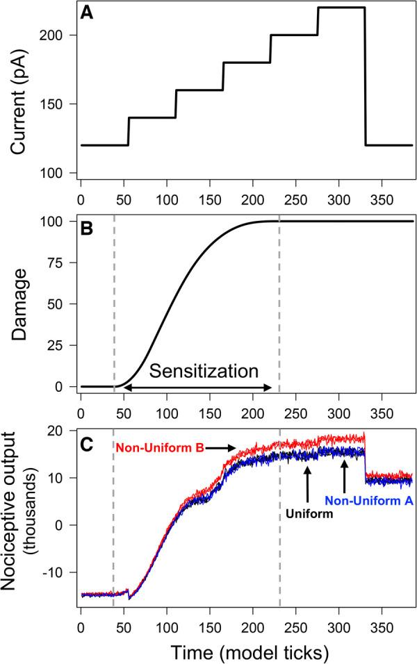 https://cdn.ncbi.nlm.nih.gov/pmc/blobs/095d/10270735/3e7b58b374b0/fpain-04-1183553-g002.jpg