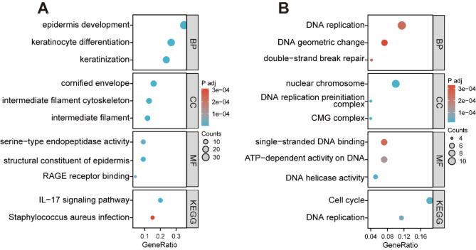 https://cdn.ncbi.nlm.nih.gov/pmc/blobs/095f/12023618/4ea097ae93ea/12957_2025_3808_Fig2_HTML.jpg