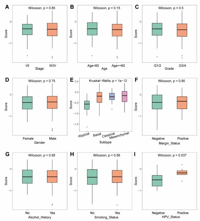 https://cdn.ncbi.nlm.nih.gov/pmc/blobs/095f/12023618/fce568d8176d/12957_2025_3808_Fig8_HTML.jpg