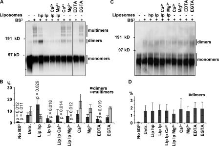 https://cdn.ncbi.nlm.nih.gov/pmc/blobs/095f/2779236/e78e7801c087/JCB_200904149_GS_Fig7.jpg